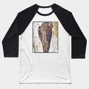 Tree Hollow Baseball T-Shirt